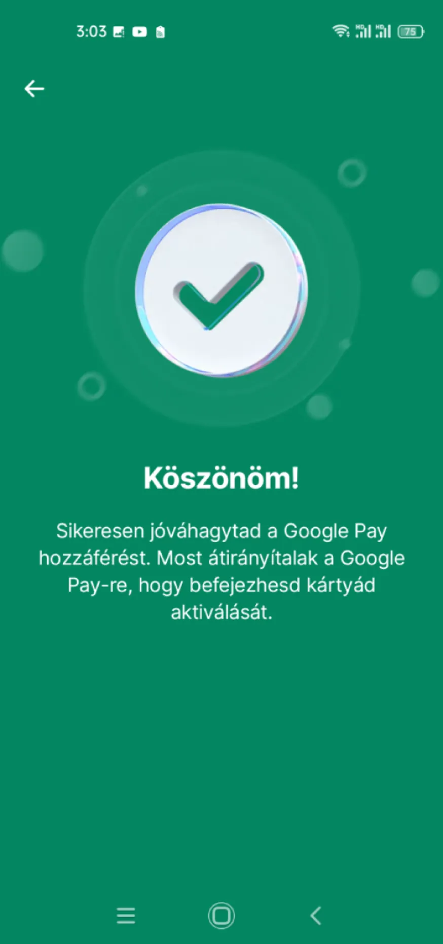 Google Wallet képernyő