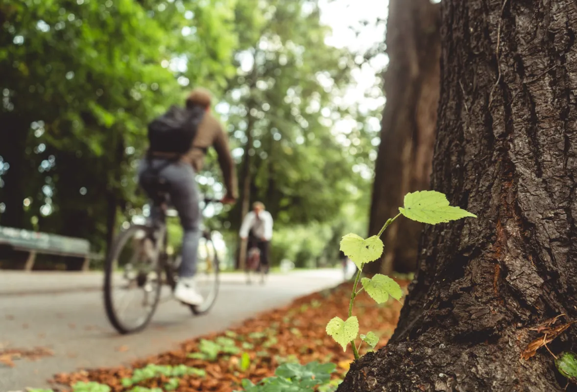 kerékpározók a parkban munkába menet